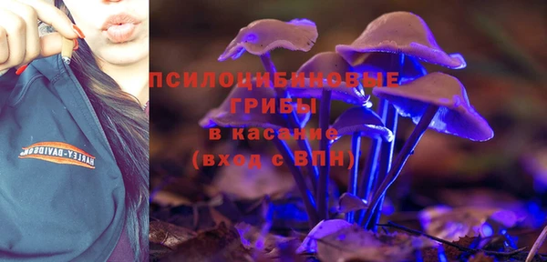 СК Аркадак
