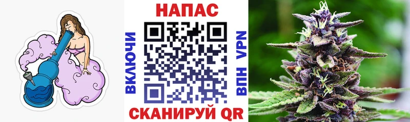 Бошки марихуана OG Kush  закладка  Суздаль 